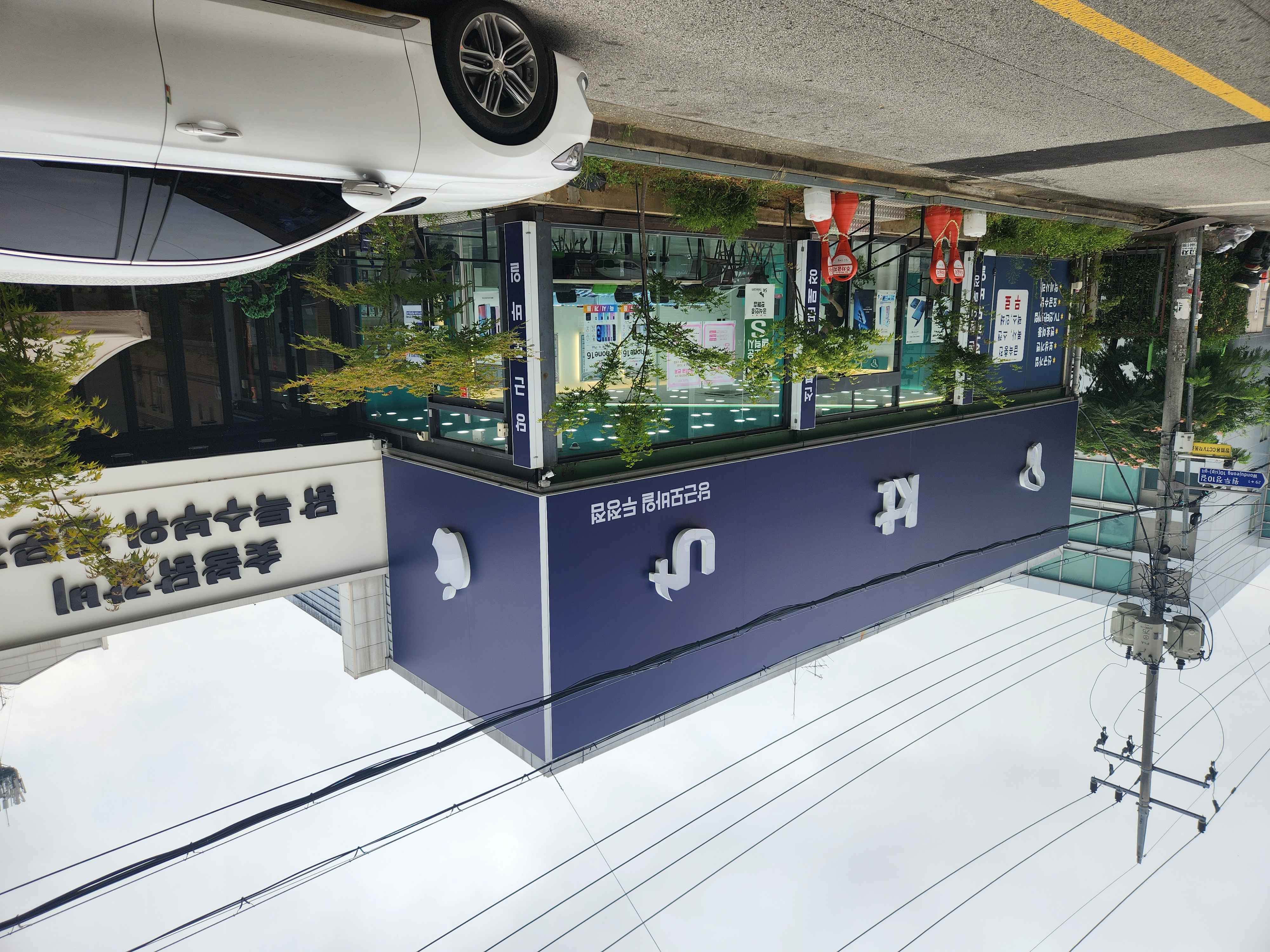 /user/0/01035805221/editor/2510/35563c3dccd7438bbdb8e53a4839e169_1761120329_6613.jpg 이미지크게보기