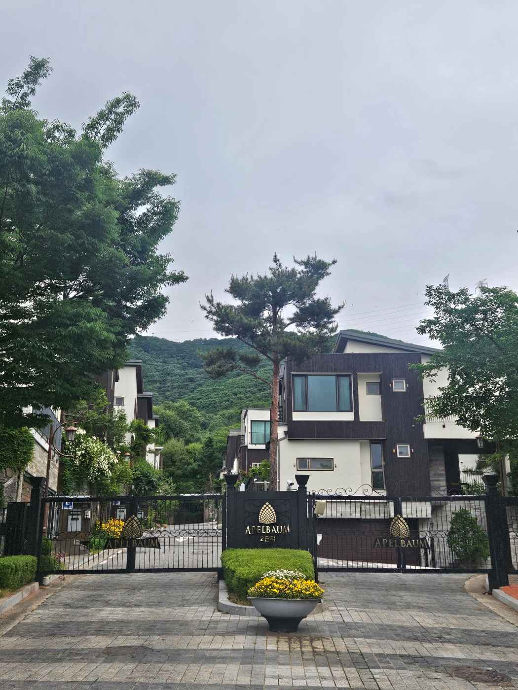 /user/0/01035805221/editor/2606/b2ce94b0ca653e4278b4d28b23730da7_1780505334_3121.jpg 이미지크게보기