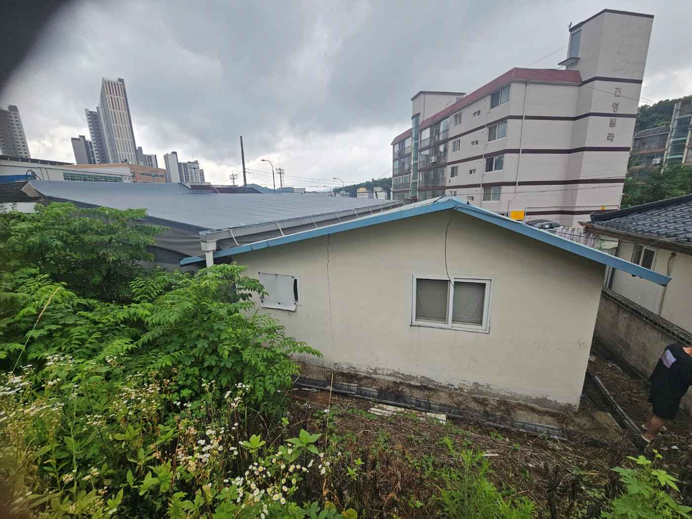 /user/0/01035805221/editor/2608/7f29c457703412779a194c101a6aa633_1786808293_1862.jpg 이미지크게보기